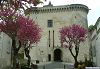 Cliquez ici pour voir l'image (Loire 071.jpg)